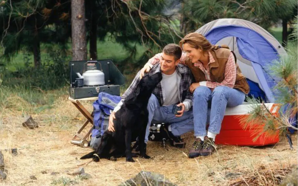 Camping with your dog