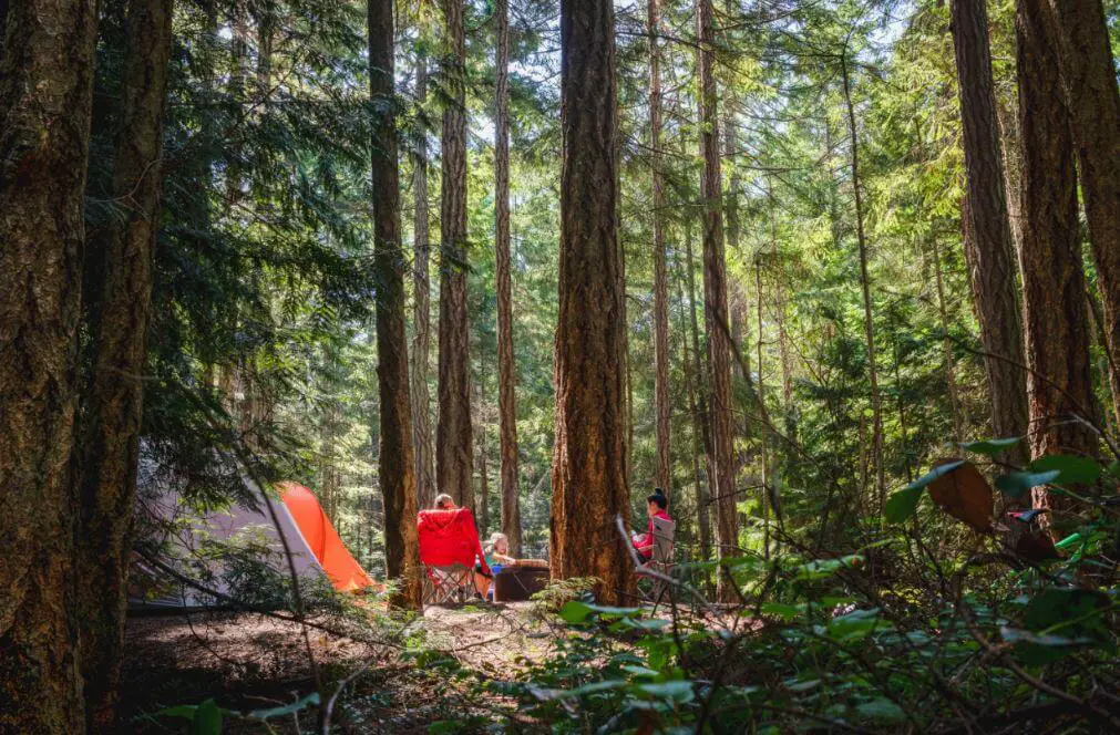 Family Camping Trip