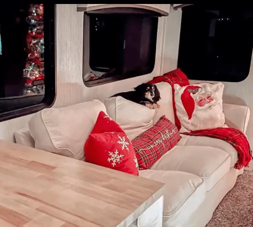 RV Christmas Pillows