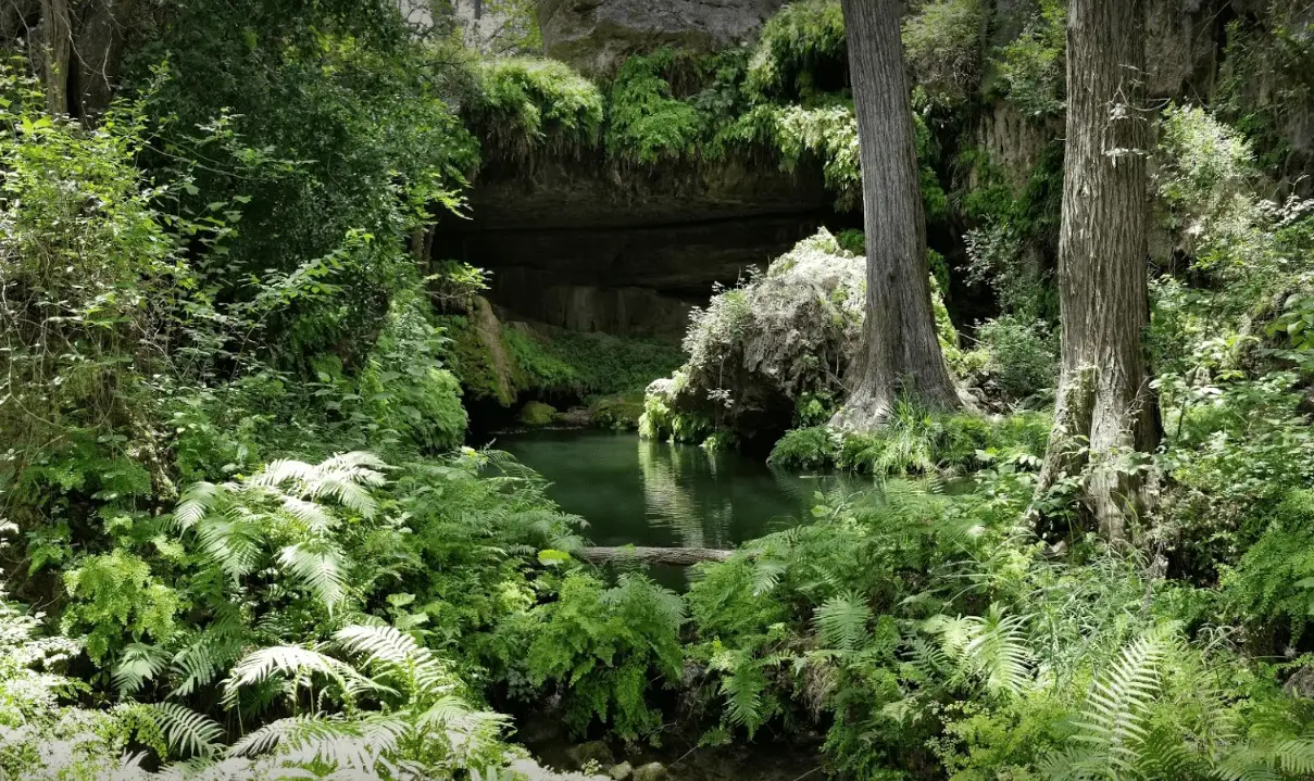 West Cavern State Park