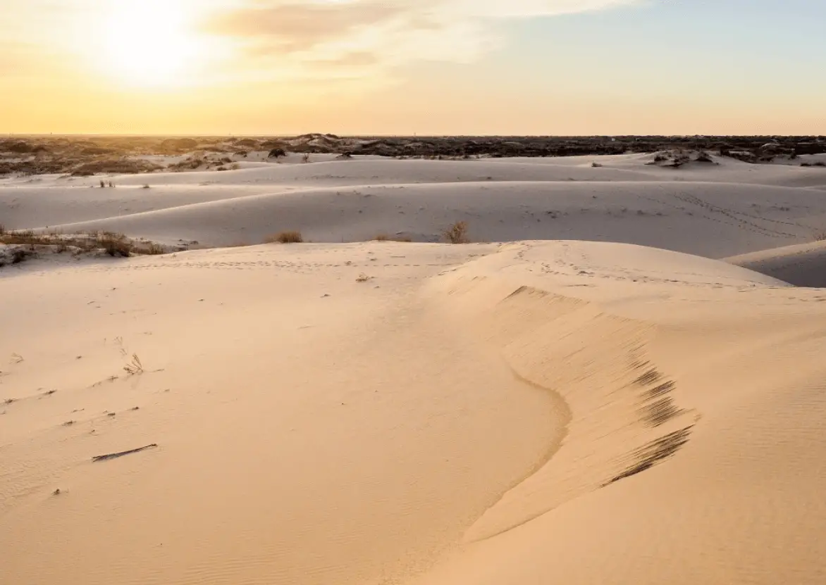 Monahans Sandhills 