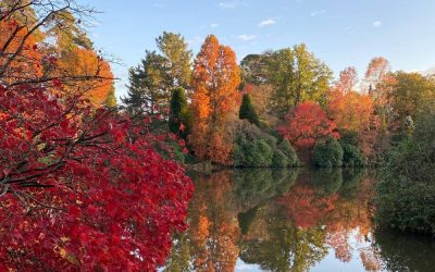 Top 7 National Parks to Experience the Gorgeous Fall Foliage