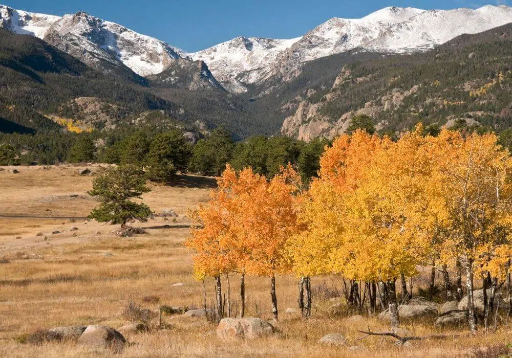 Rocky Mountain National Park - Fall Foliage